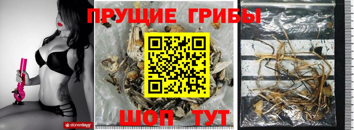 Псилоцибиновые грибы прущие грибы Казань