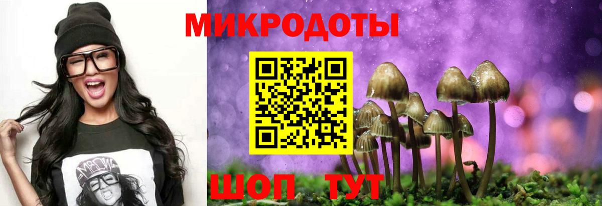Галлюциногенные грибы прущие грибы  Вход с VPN  Казань 